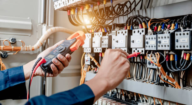 Best Electrical System Inspection  in Lake Magdalene, FL