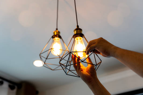 Best Commercial Electrician Services  in Lake Magdalene, FL