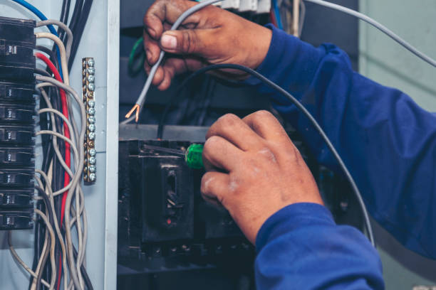 Best Electrical Wiring Services  in Lake Magdalene, FL